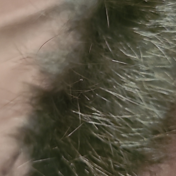 Christian Dior Vintage Winter Jacket in Chestnut Brown with Fur Trim size 40 / 8 - Picture 15 of 15